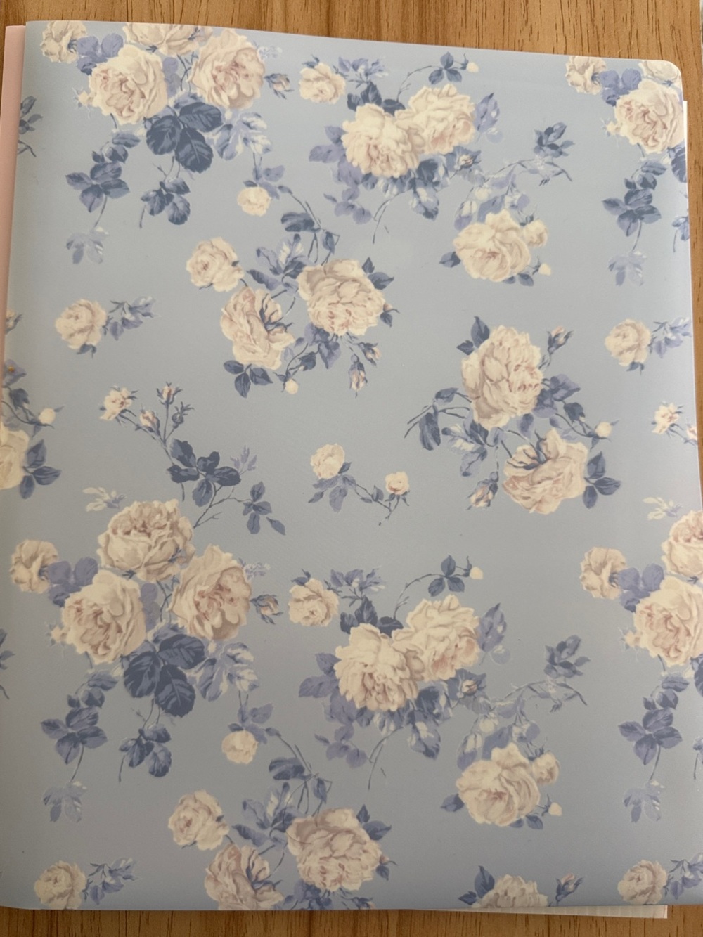 LoveShackFancy x Yoobi Blue and Cream Floral Folder